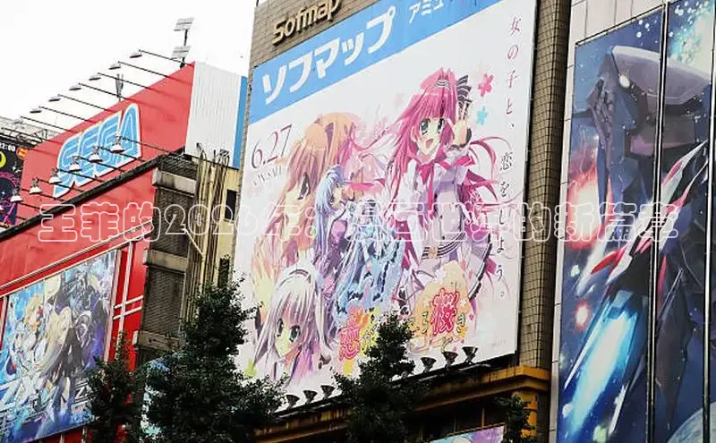 星耀国际pg
